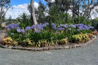 Echuca Retreat Holiday House - Echuca - 5