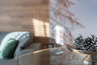 Diamante ampio monolocale stile chalet alpino - Tonalepas - 1
