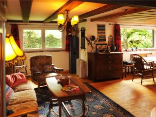 Holiday home Feldbergblick - Hintertal - 4