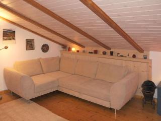 Holiday home Feldbergblick - Hintertal - 8