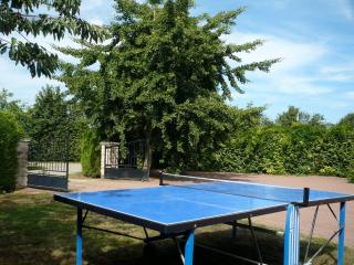 Manoir de charme avec jardin, salle de jeux et proche du Mans (25 min) - FR-1-410-197 - Épineu-le-Chevreuil - 7