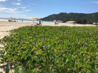 30 metros do Mar de Dentro - Canto Grande - 7