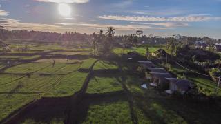 IPIAN Cinta by GenuineHost - 2