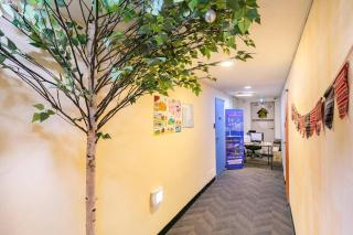 24Guesthouse Seomyeon - Busan - 4