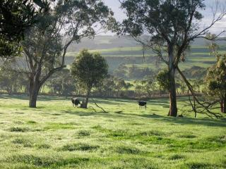 Bellevue Farmstay - 1