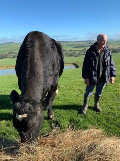 Bellevue Farmstay - 8