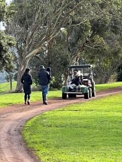 Bellevue Farmstay - 9