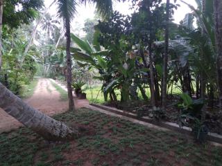 Villa water bubble - Unawatuna - 5