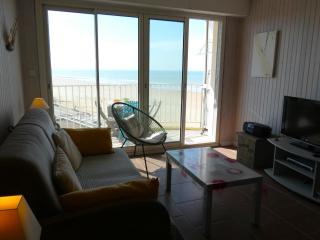 Bel appartement 1 chambre pour 5 personnes près de la plage - FR-1-323-412 - 3