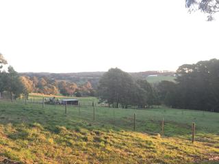 Patsy's Gate - Red Hill South - 8