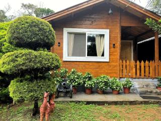 Oxyzone Coorg by StayApart - 8