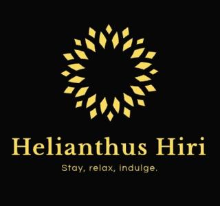 Helianthus Hiri - Dikwella - 0