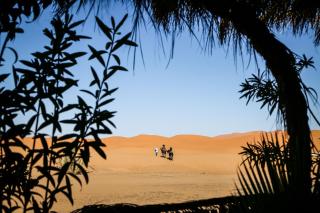 Dune House - 0