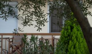 Guesthouse Adonis - Kato Loutraki - 7