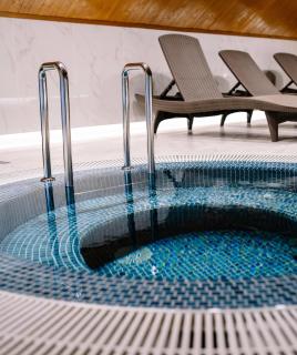 Podina Resort Hotel & Spa - Ungureni - 7