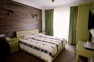 Pensiunea Casa Doamnei Voronet - 0