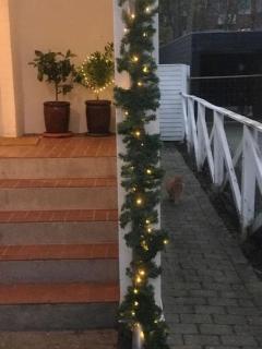 Smukt, sjælfuldt og charmerende hus midt i Odense. - 4