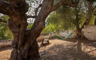 Trullo Philemon - Ostuni - 7