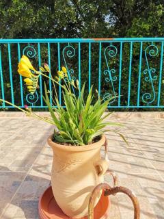 LEMON TREE GARDEN near Mirtos beach - Bekatoráta - 3