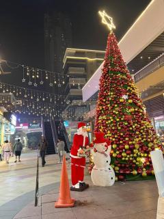 Luxury Studios Key 7 - 2