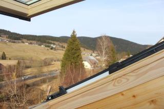 Newly renovated apartment - Bernau im Schwarzwald - 8