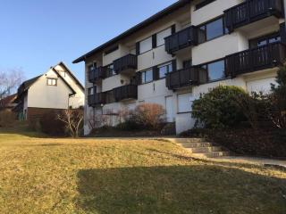 Newly renovated apartment - Bernau im Schwarzwald - 5
