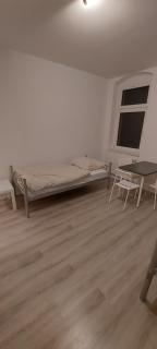 Monteurwohnung auf 120 qm - Heidenau - 7