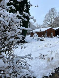 Pension Sander - Bispingen - 5