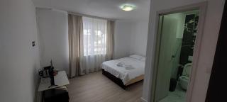 Antic house - Predeal - 6