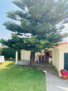 Beach Tree House - Cortegaça - 6