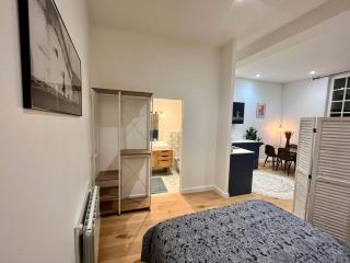 Grand studio Loft Vieux Bordeaux - 7