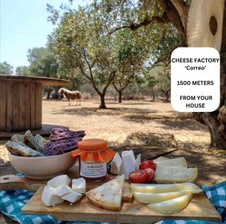La Corte Della Masseria - San Vito dei Normanni - 5