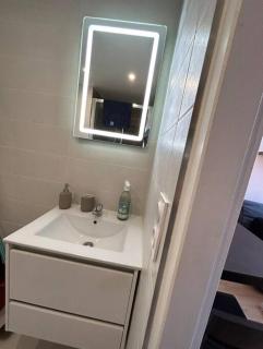 Le studio Cygne Blanc hypercentre rue Riquet - Toulouse - 1