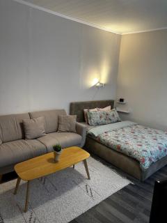 1 Bedroom Apartment near Kadriorg Swan Pond - Tallinn - 0