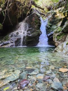 Hostal Isla Magdalena -  - 2