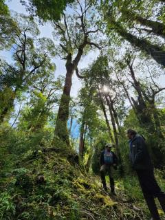 Hostal Isla Magdalena -  - 1