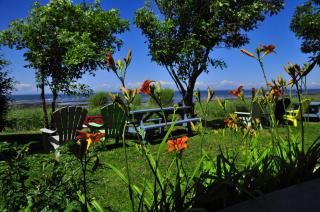 Motel Appartements le Saint-Patrick - Sainte-Flavie - 2