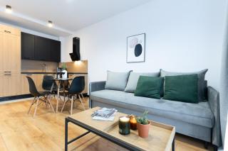 River Song Apartment - Nowe Miasto Lubawskie - 1