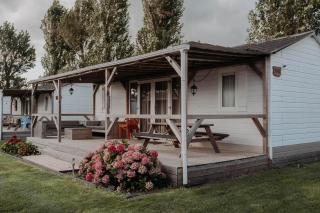 Chalet Tulpenweide - recreatie - Breezand - 8