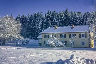 Chalet Cosy Lisière de Forêt - Xonrupt-Longemer - 0