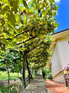 Casa da Nona - Vale dos Vinhedos - 6