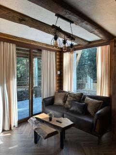CHALET ELEVEN - Dospat - 7