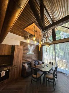 CHALET ELEVEN - Dospat - 8