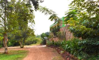 Iziba lodge - Hoima - 9