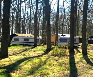 CAMPER STELLPLATZ für dein Camper oder WoMo DIREKT am STRAND - Dranske - 6
