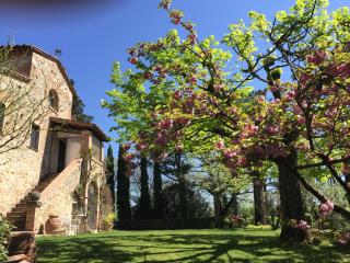 Magnolia House - Cetona - 8