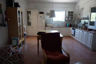 Haus mit Pool im Olivenhain - Koroni - 9