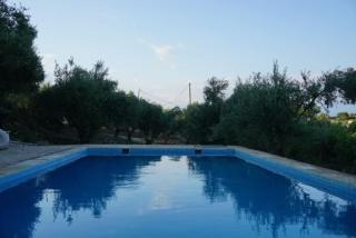 Haus mit Pool im Olivenhain - Koroni - 8
