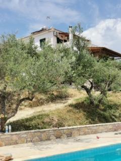 Haus mit Pool im Olivenhain - Koroni - 6