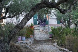 Haus mit Pool im Olivenhain - 2